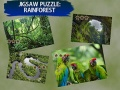 Gra Puzzle Dżungla w Internecie