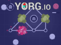 Gra Yorg.io w Internecie