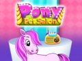 Gra Salon Zwierząt Pony w Internecie