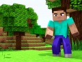 Gra Mini Craft w Internecie