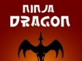 Gra Ninja Smok w Internecie