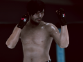 Gra MFS: Zawodnik MMA w Internecie