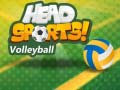 Gra Siatkówka Head Sports w Internecie