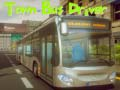 Gra Kierowca autobusu miejskiego w Internecie