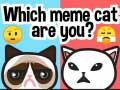 Gra Jakim memowym kotem jesteś? w Internecie