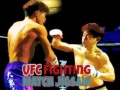 Gra UFC Walka Puzzle w Internecie