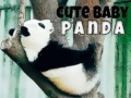 Gra Słodki mały panda w Internecie