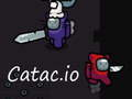 Gra Catac.io w Internecie