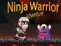 Gra Przygoda Wojownika Ninja w Internecie