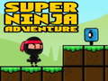Gra Super Przygoda Ninja w Internecie
