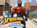 Gra Spider-Man na deskorolce w Internecie