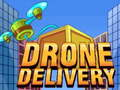 Gra Dostawa Dronem w Internecie