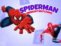 Gra Gra w pamięć Spidermana w Internecie