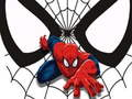 Gra Karty do dopasowywania Spidermana w Internecie