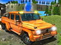 Gra Symulator jazdy Jeep w terenie: Szalona gra Jeep w Internecie