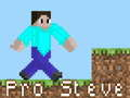 Gra Pro Steve w Internecie