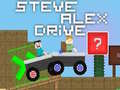 Gra Steve Alex Jazda w Internecie