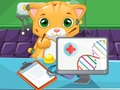 Gra Kot Doktor w Internecie