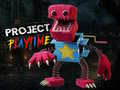 Gra Projekt Czas Gry w Internecie
