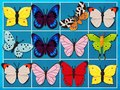 Gra Król Mahjong w Internecie