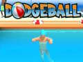 Gra Dodgeball w Internecie