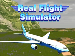 Gra Rzeczywisty Symulator Lotu w Internecie