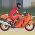 Wyścigi motocyklowe  online